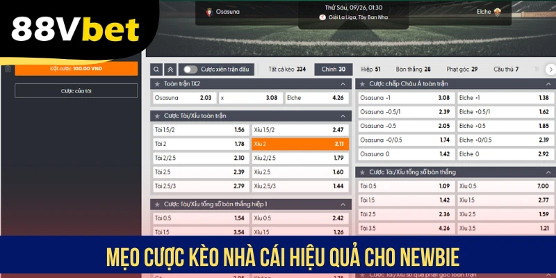 Mẹo cược kèo nhà cái hiệu quả cho newbie